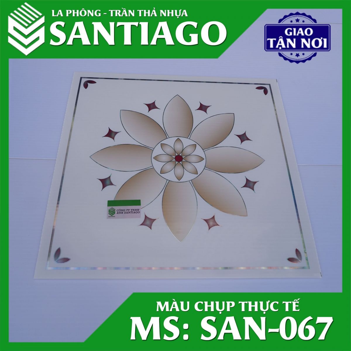 067 mẫu la phông nhựa trần thả nhựa tây ninh